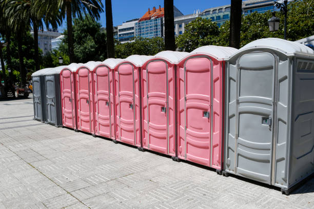 Best Standard Portable Toilet Rental  in Fowler, MI